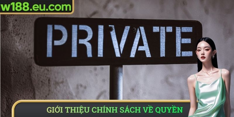 Giới thiệu chính sách về quyền