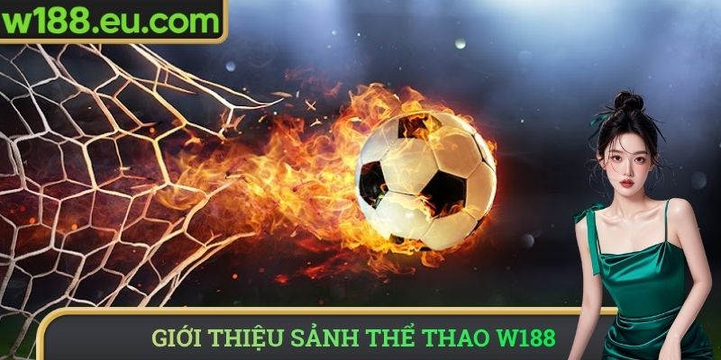 Khái quát sảnh thể thao W188