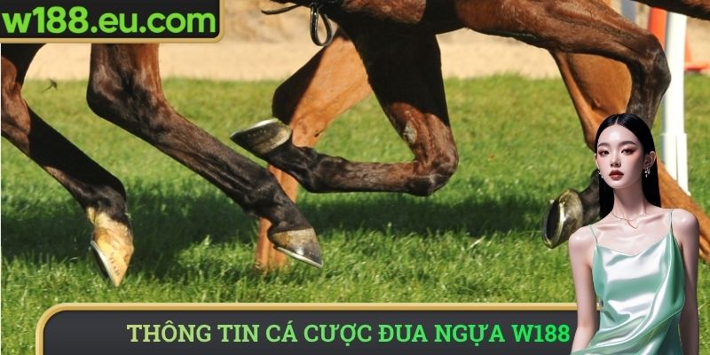 Thông tin về cá cược đua ngựa W188