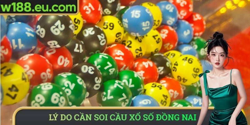 Lý do cần soi cầu xổ số Đồng Nai
