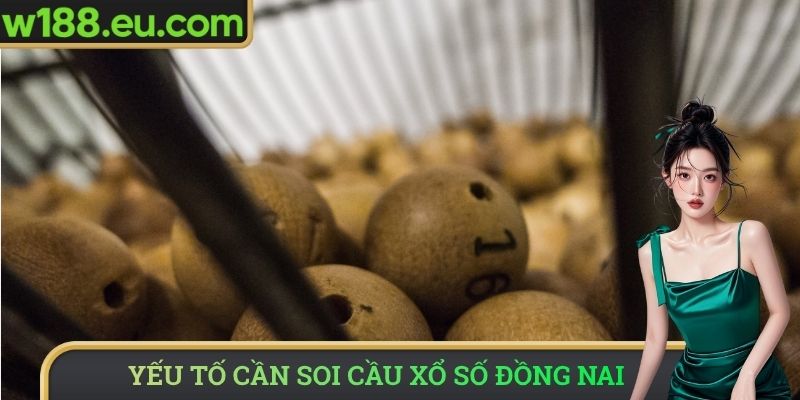 Yếu tố quan trọng tại soi cầu xổ số Đồng Nai